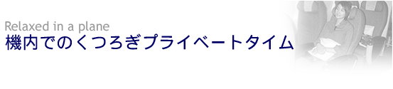 @ł̂났vCx[g^C