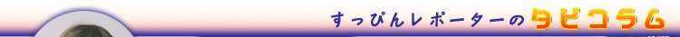 ҂񃌃|[^[̃^rR