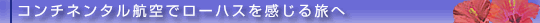 R`l^qŃ[nX闷