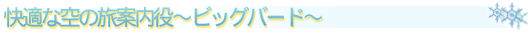 Kȋ̗ē`rbOo[h`