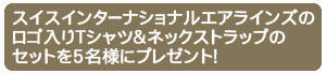 XCXC^[iViGACỸv[g