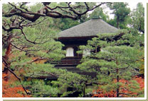 Kyoto Image