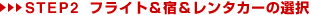 STEP2 tCgh^J[̑I