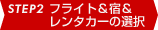 STEP2 tCgh^J[̑I