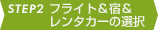STEP2 tCgh^J[̑I